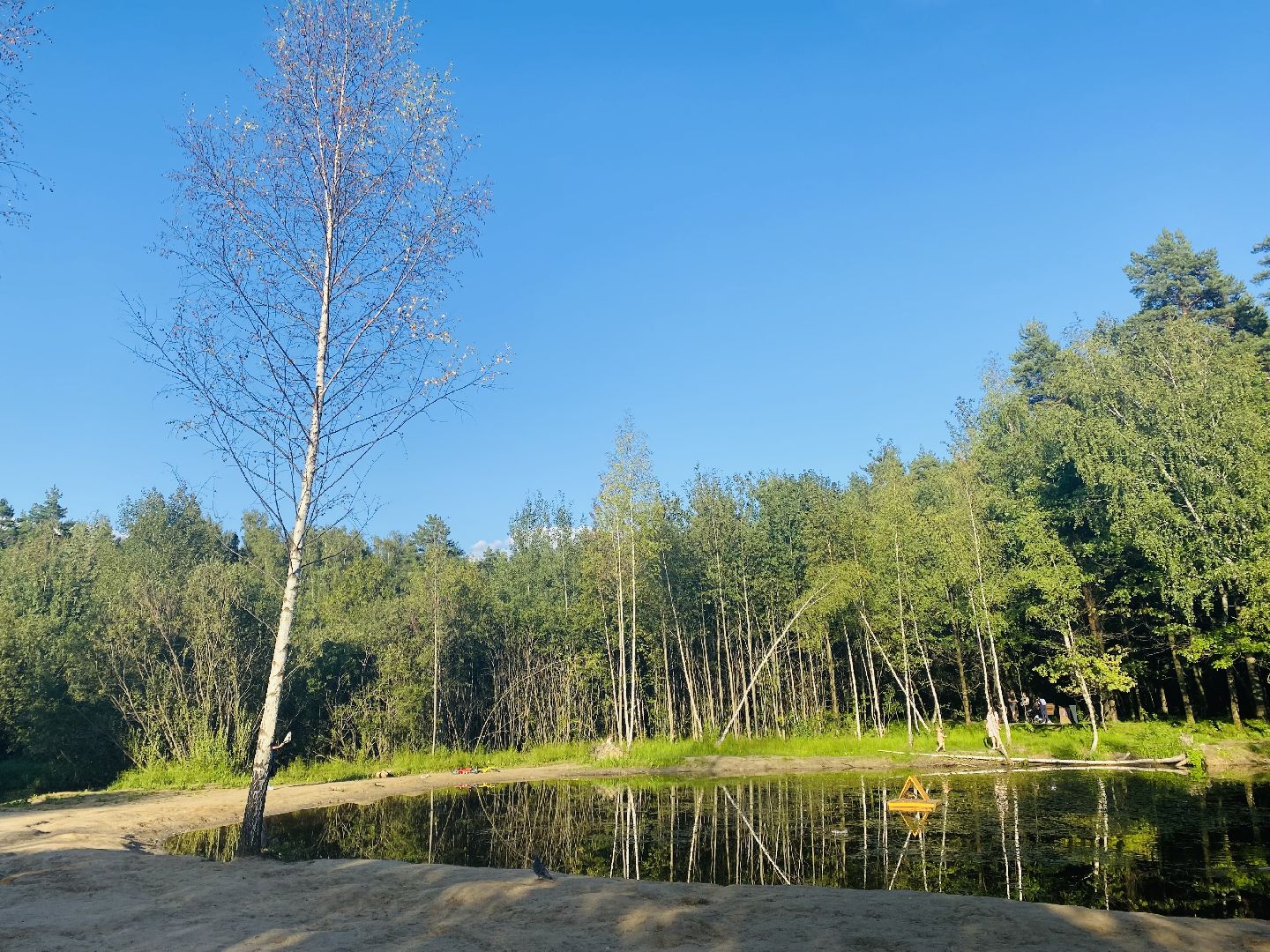 Ольгинский лесопарк, балашиха