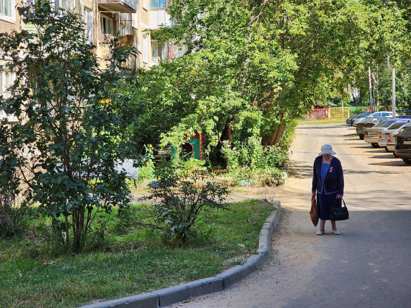 Егорьевск, домик, двор, дети,