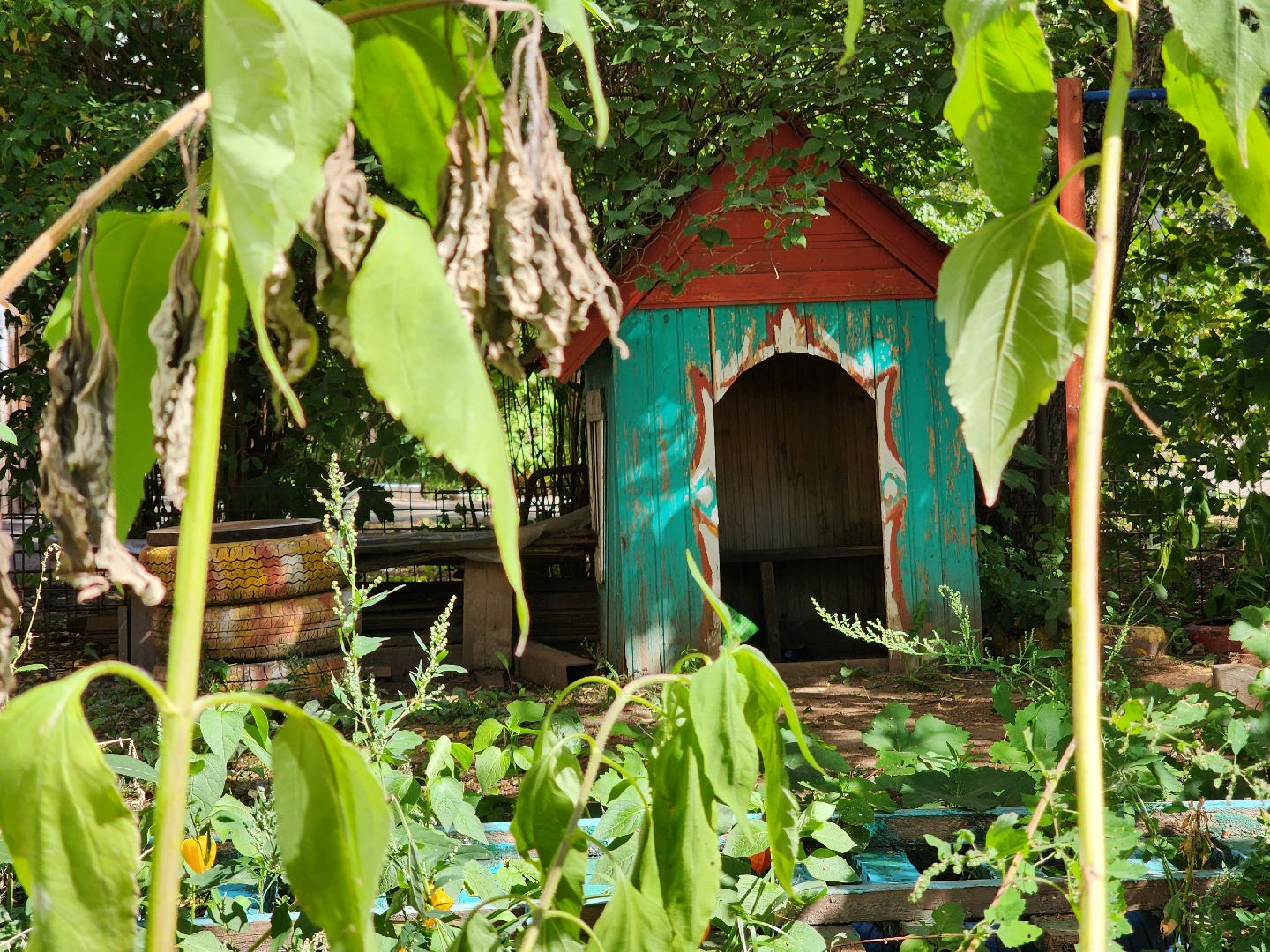 Егорьевск, домик, двор, дети,