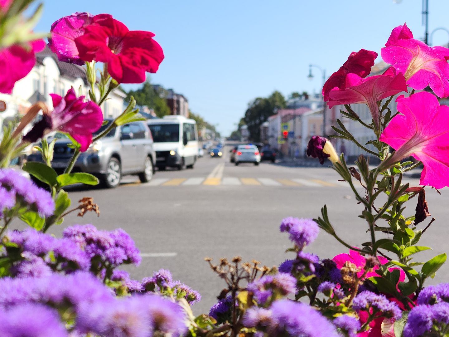 егорьевск, автобусное сообщение, автобус, день города, транспорт,