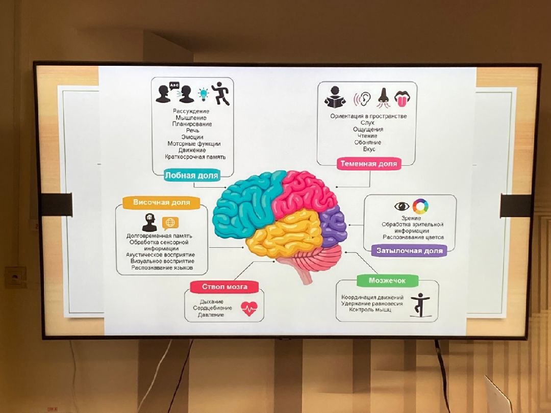 Клин, Общество