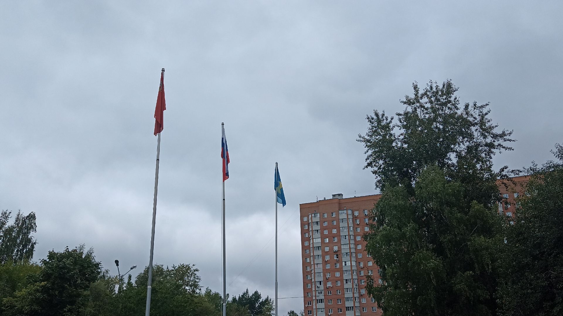 Реутов, образование, ремонт, спортзал