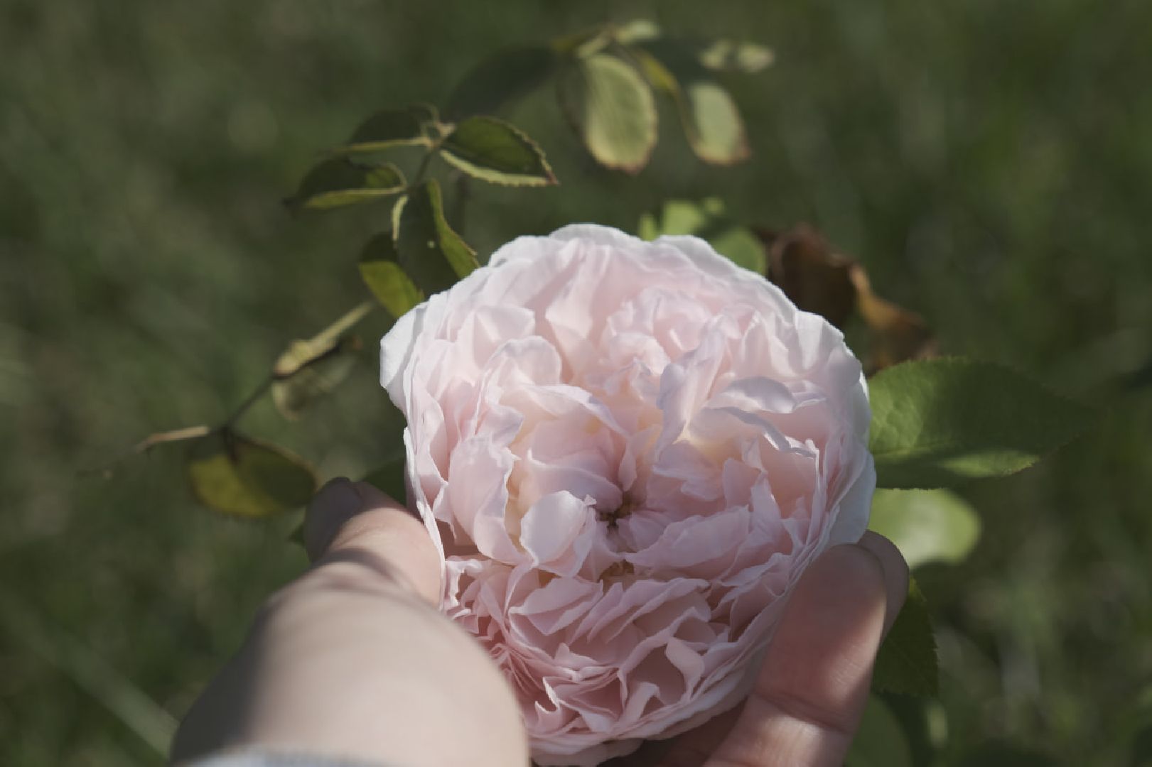 Пущино, благоустройство