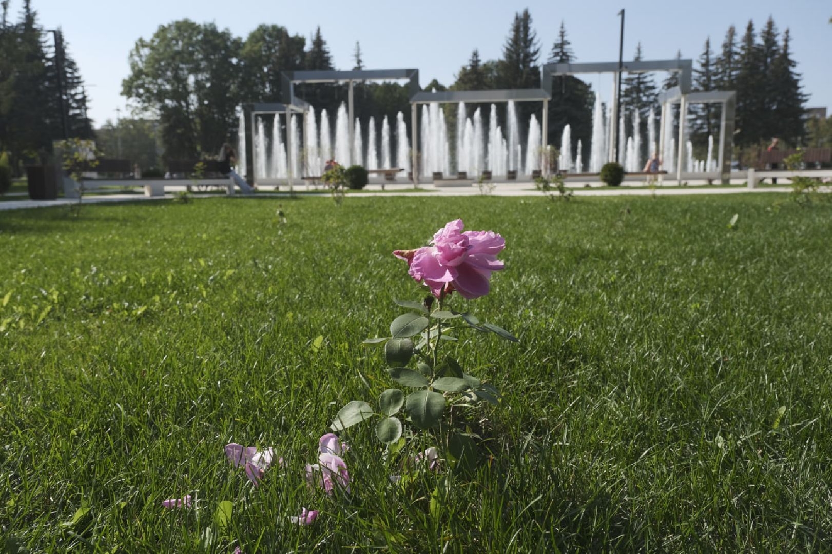 Пущино, благоустройство