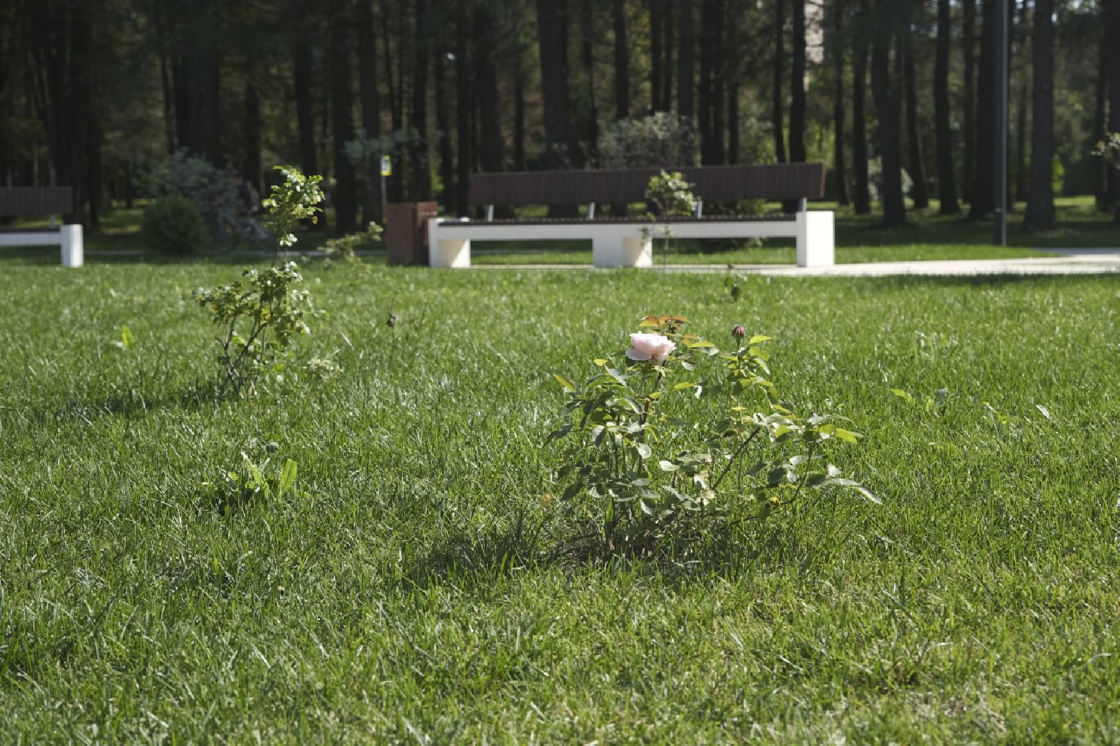 Пущино, благоустройство