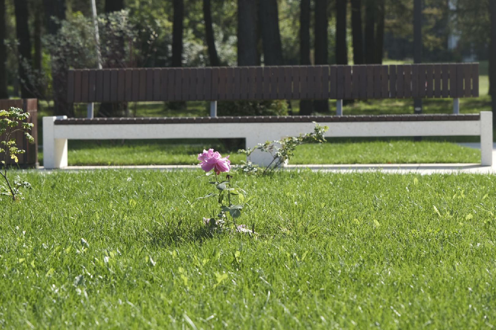 Пущино, благоустройство