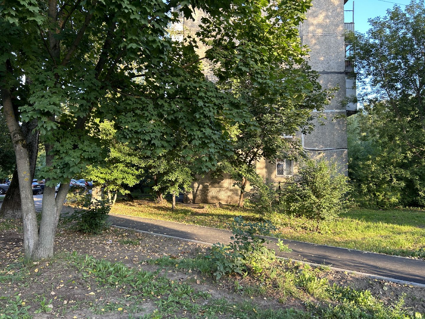 дом культуры, Фрязино