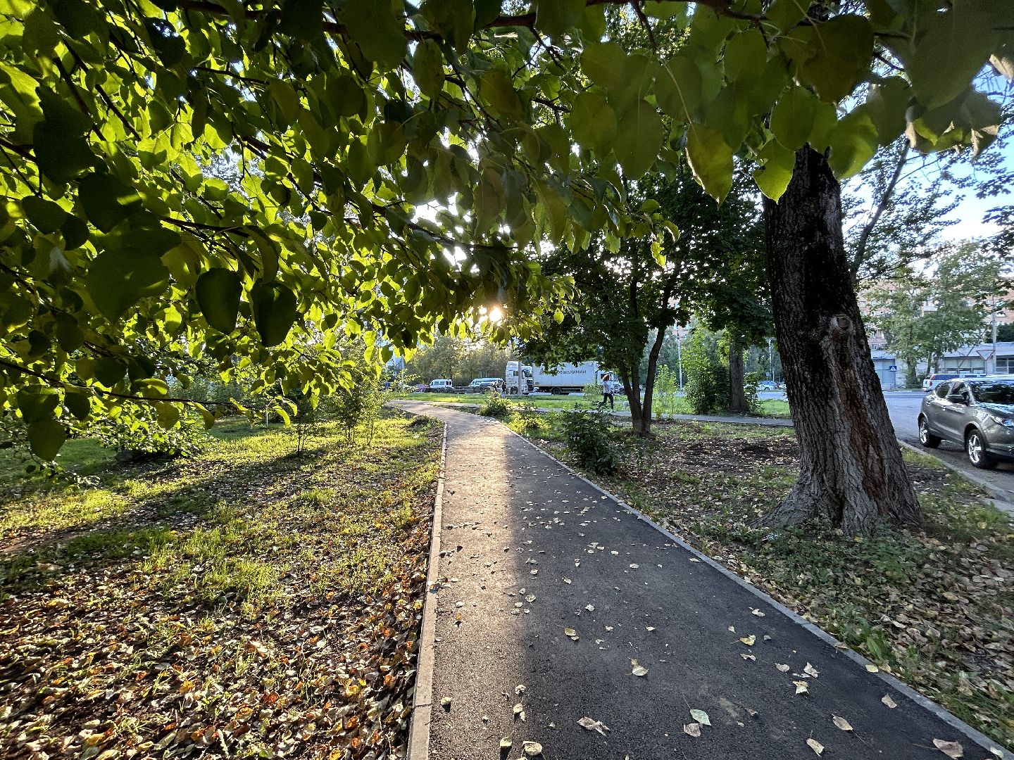 дом культуры, Фрязино