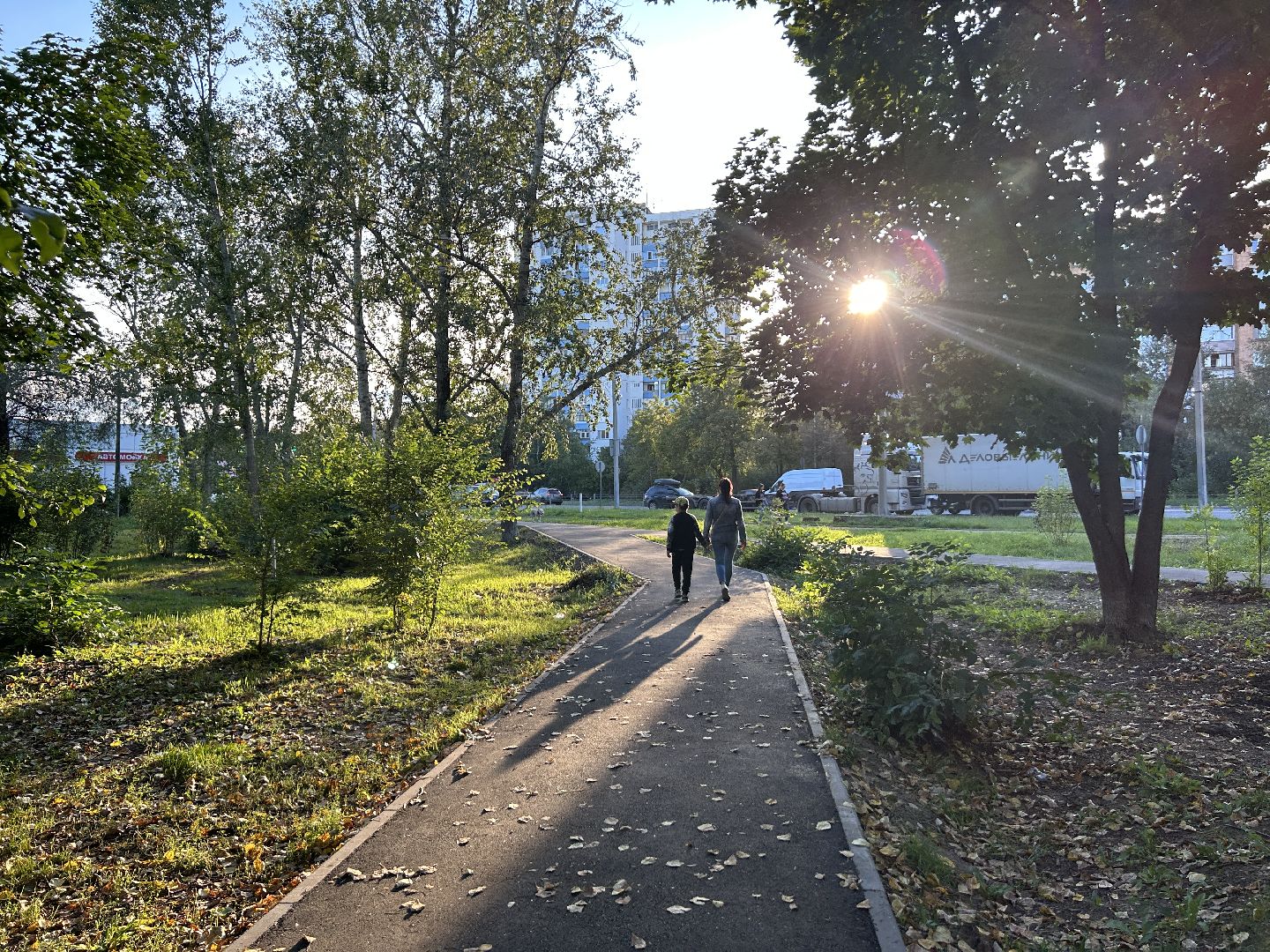 народные тропы, программа губернаторы, Фрязино