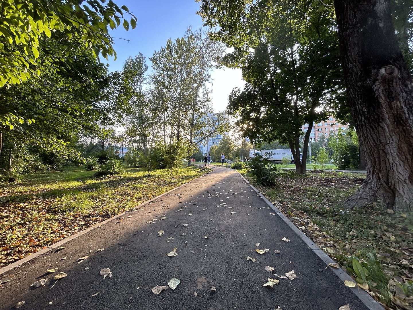 народные тропы, программа губернаторы, Фрязино