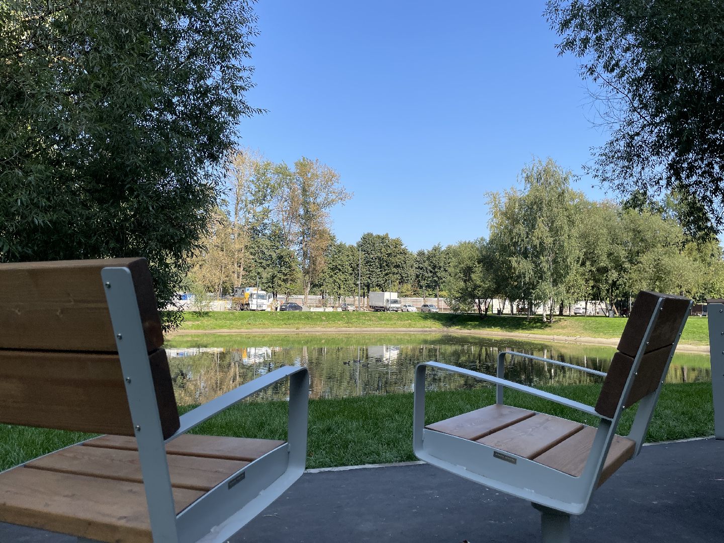 Пруд, благоустройство, пруд, жители