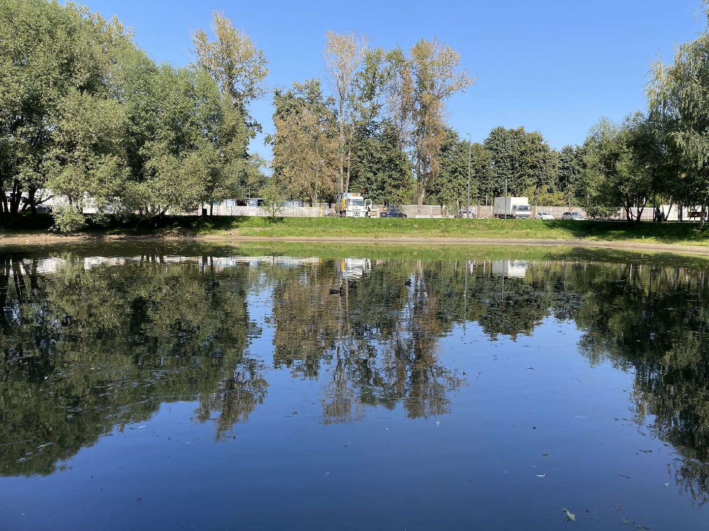 Пруд, благоустройство, пруд, жители