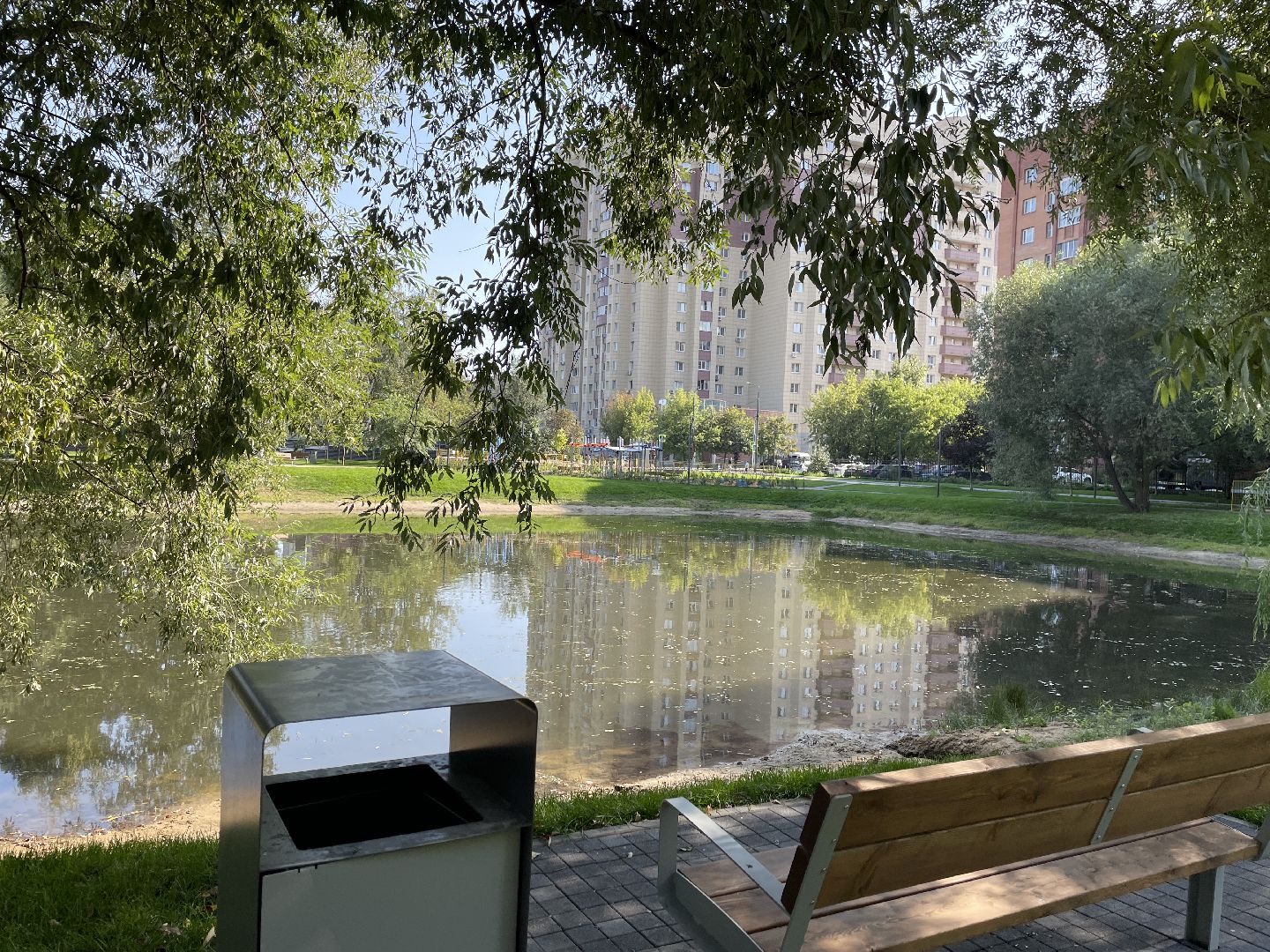 Пруд, благоустройство, пруд, жители