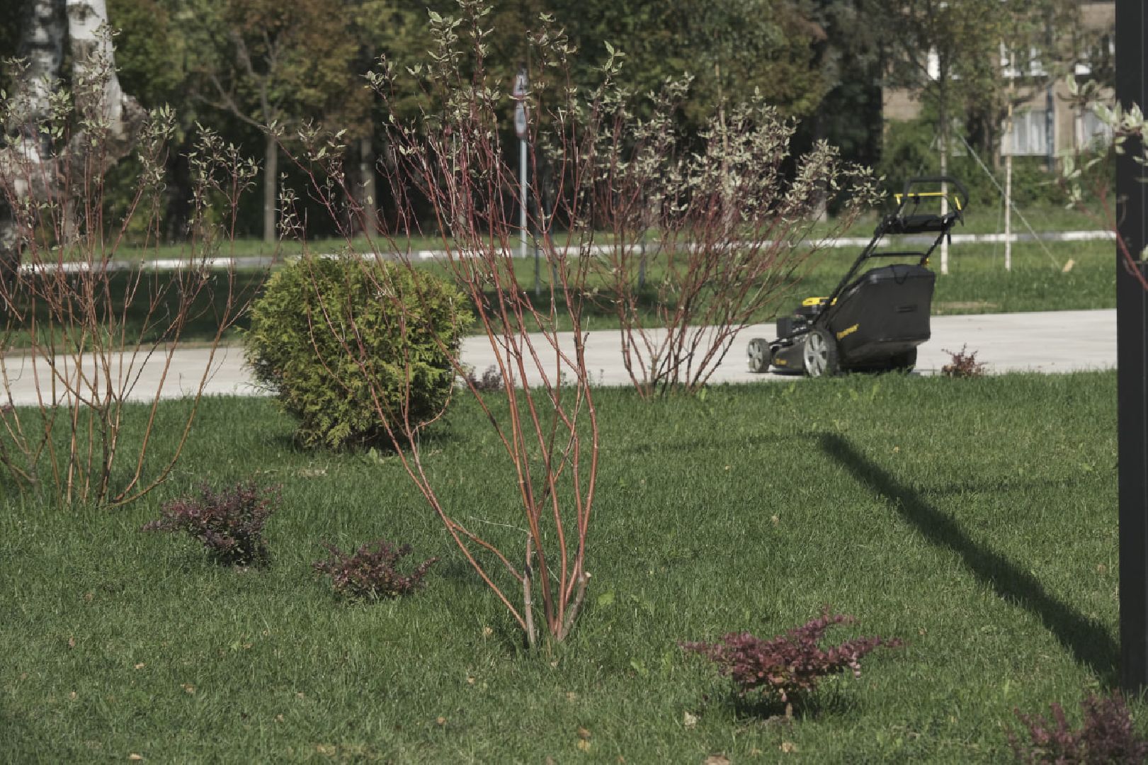 Пущино, благоустройство