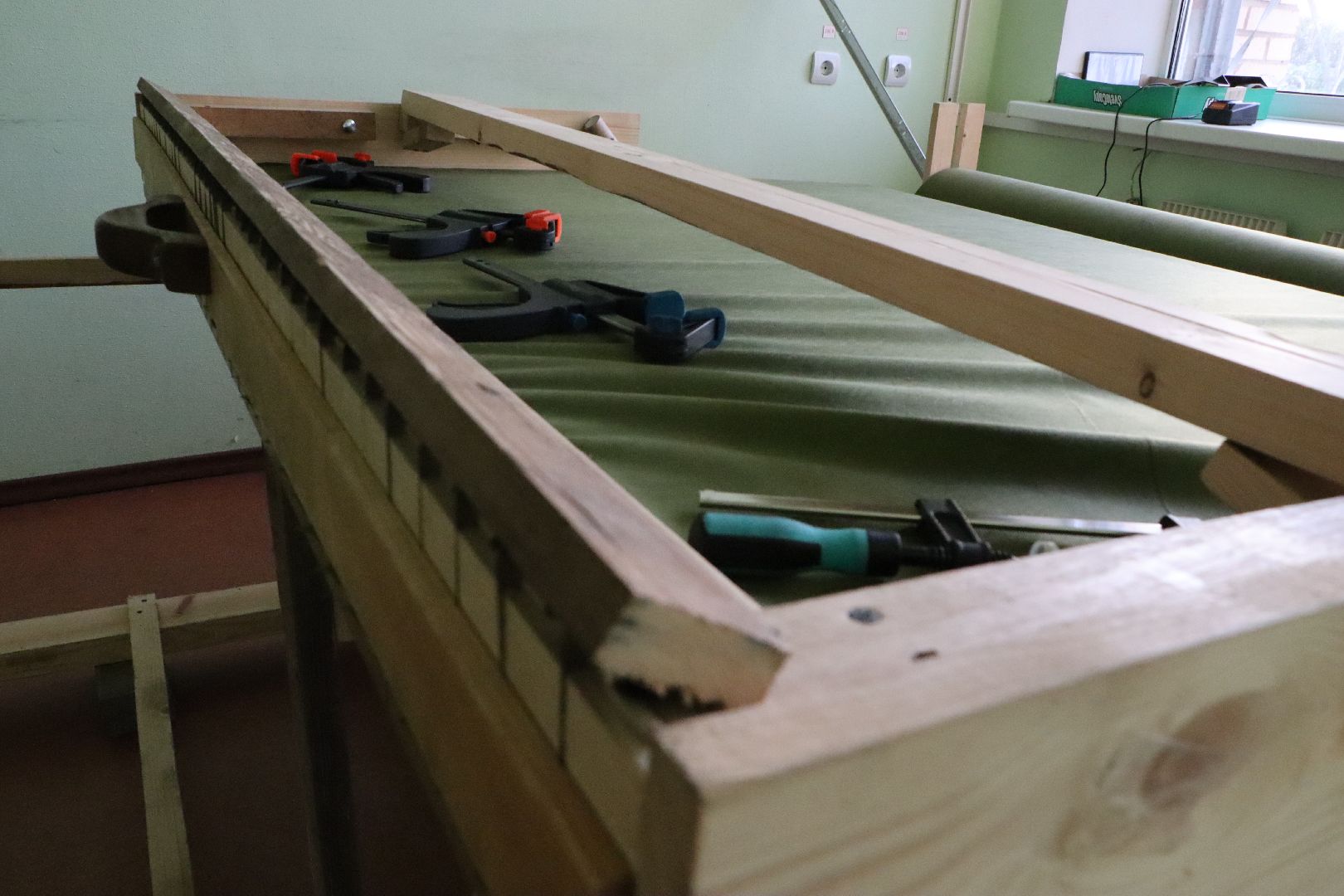 Серебряные Пруды, волонтерство