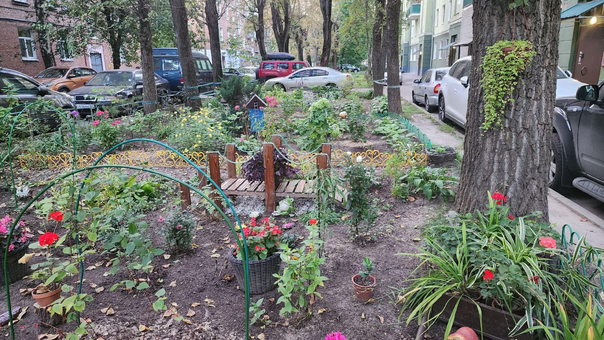 Долгопрудный, цветник, благоустройство