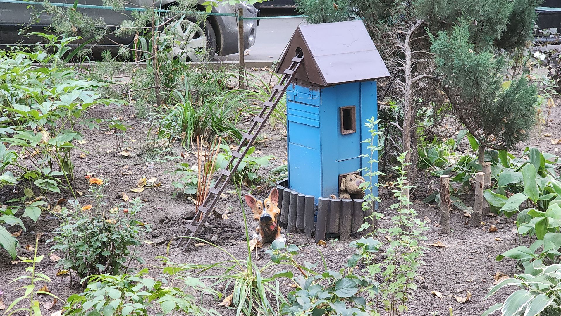 Долгопрудный, цветник, благоустройство