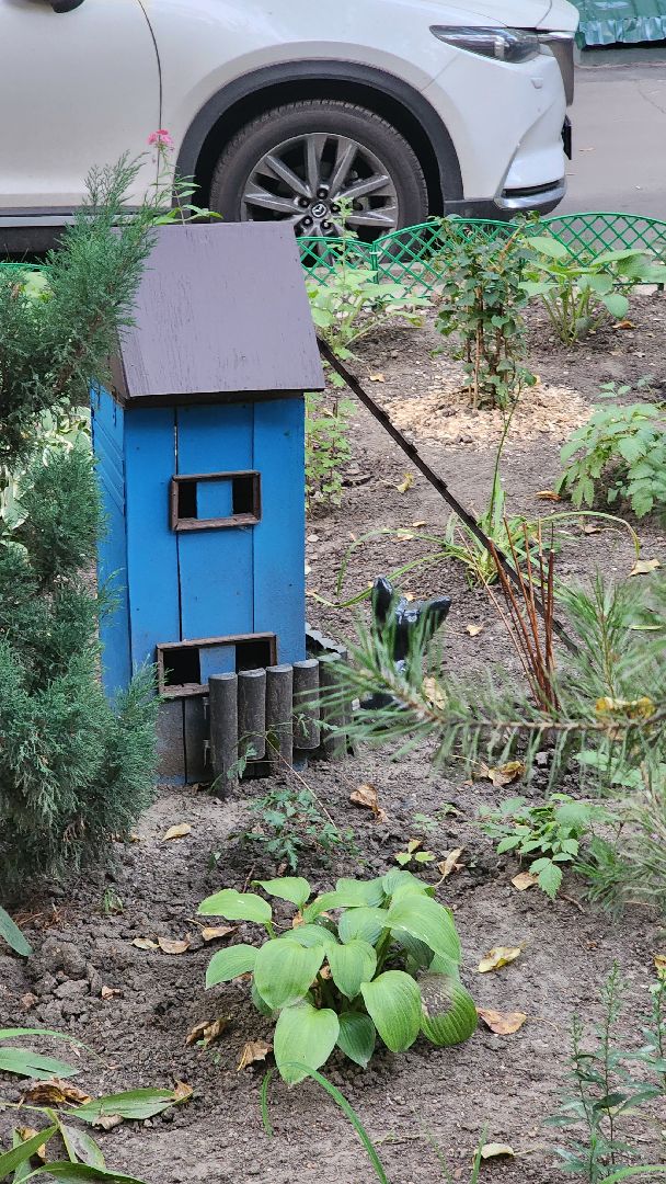 Долгопрудный, цветник, благоустройство