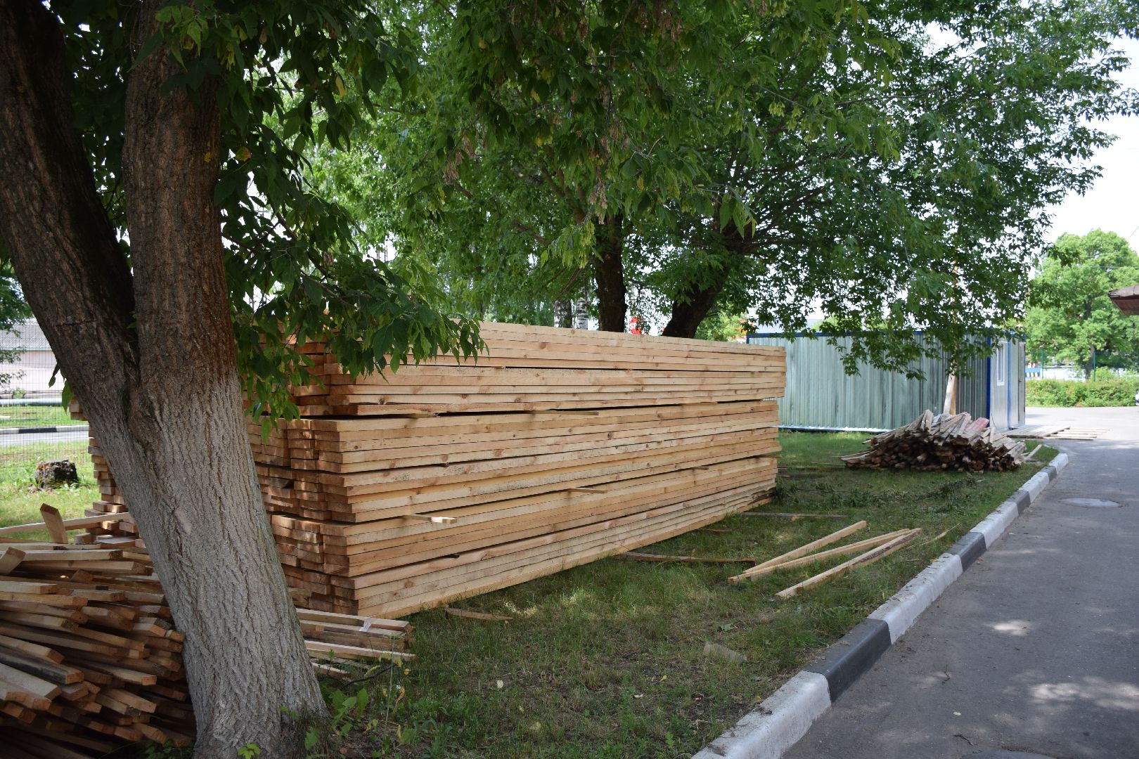 Электрогорск, городской округ Павловский Посад, люди