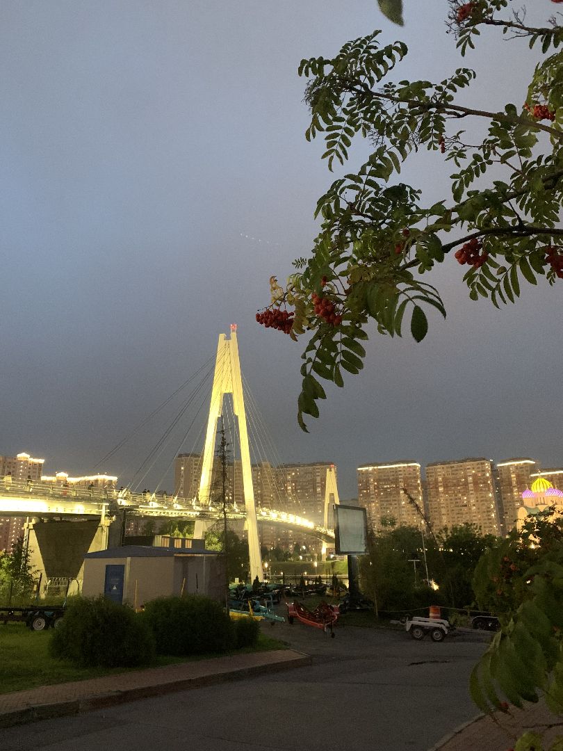 Калина, урожай, Красногорск