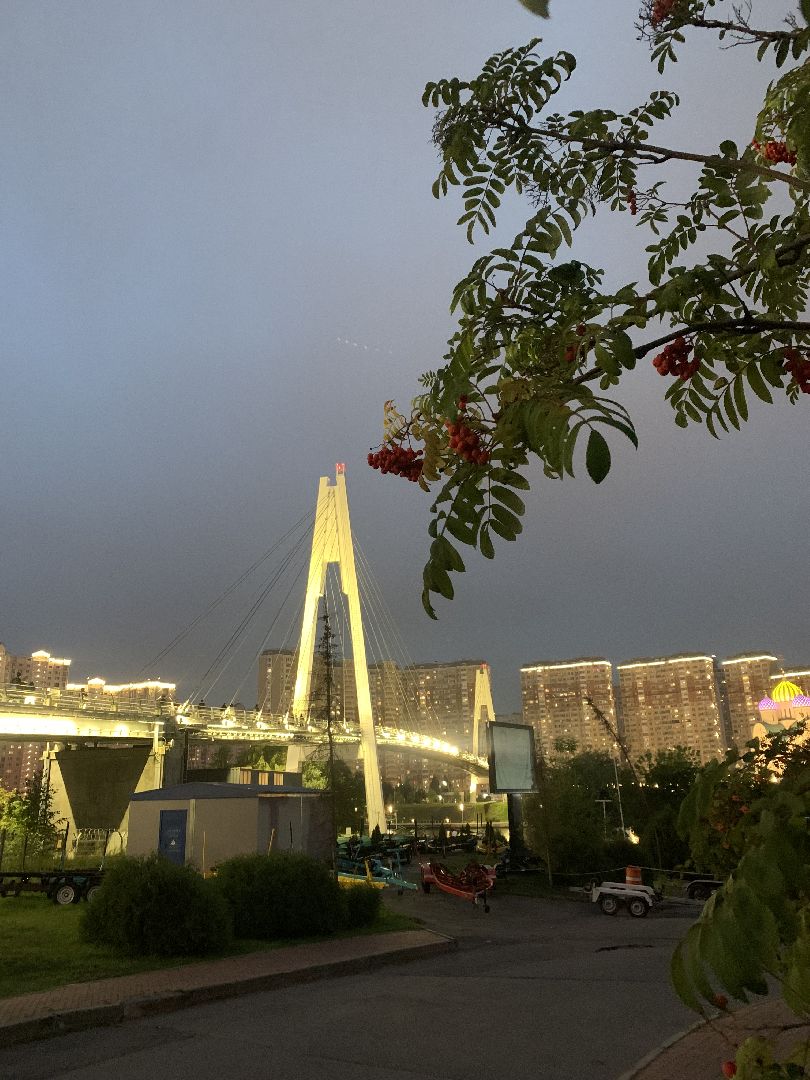 Калина, урожай, Красногорск