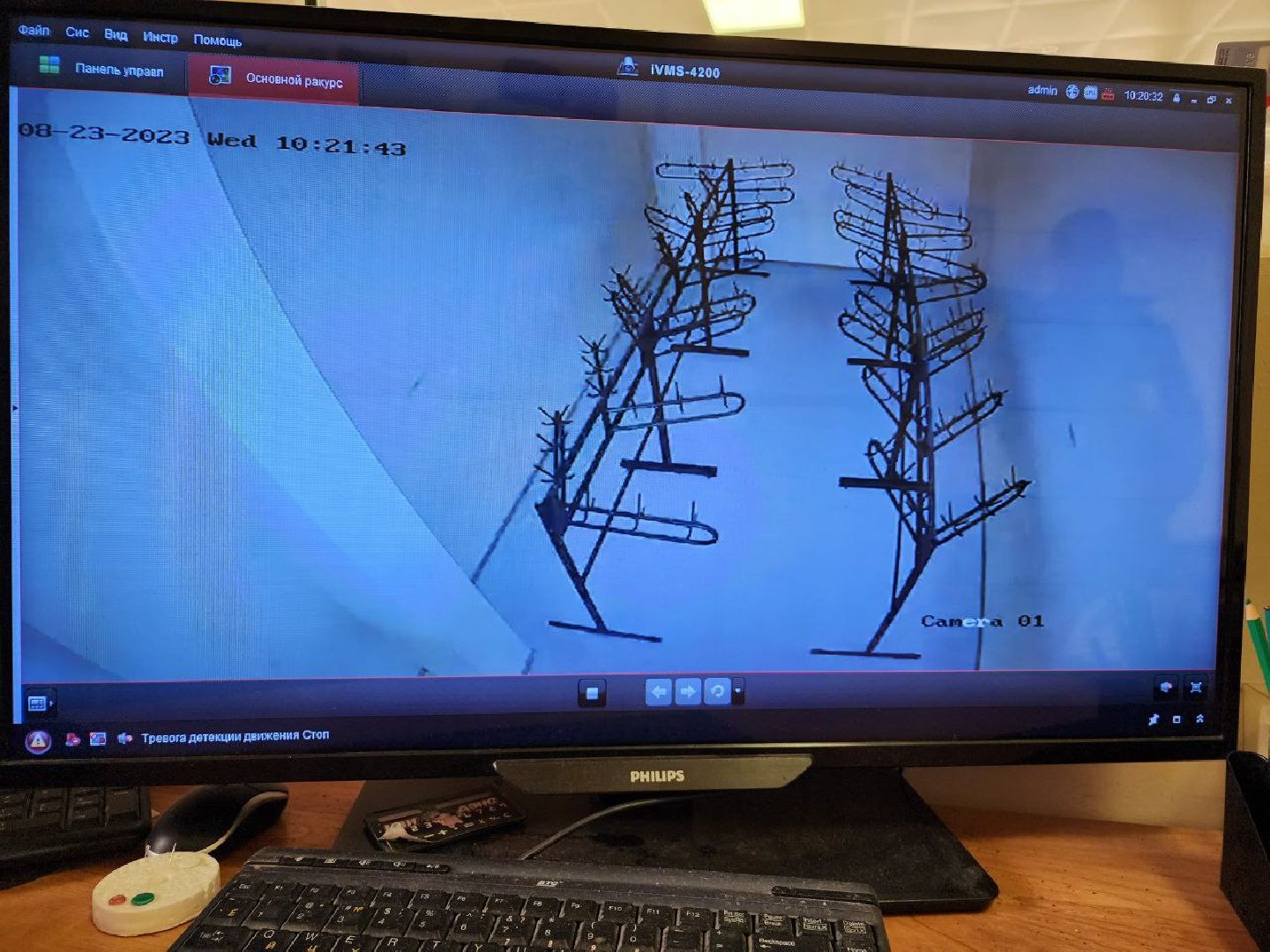 школа, дети, Лосино-Петровский