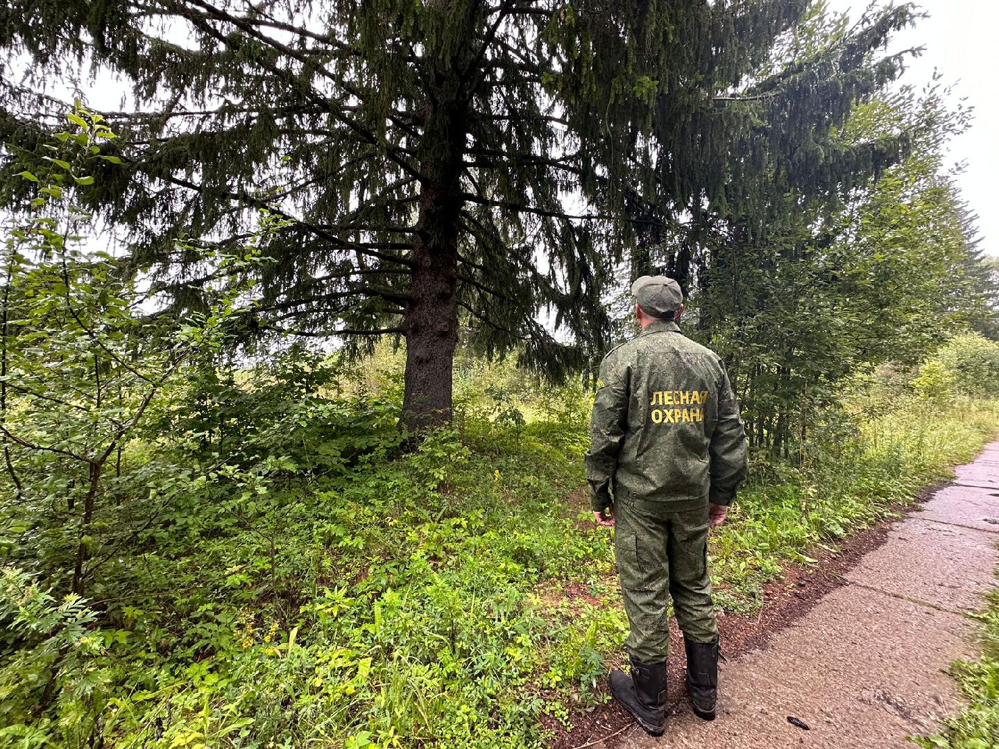 Лесник года, Мособллес, Наро-Фоминск