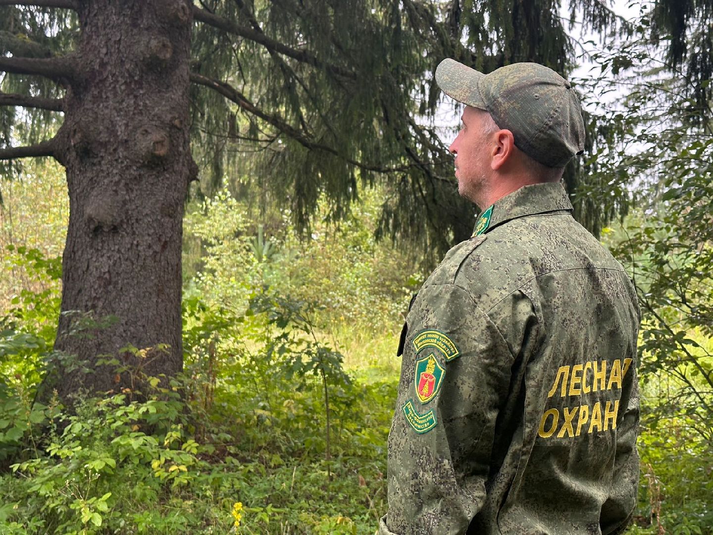 Лесник года, Мособллес, Наро-Фоминск