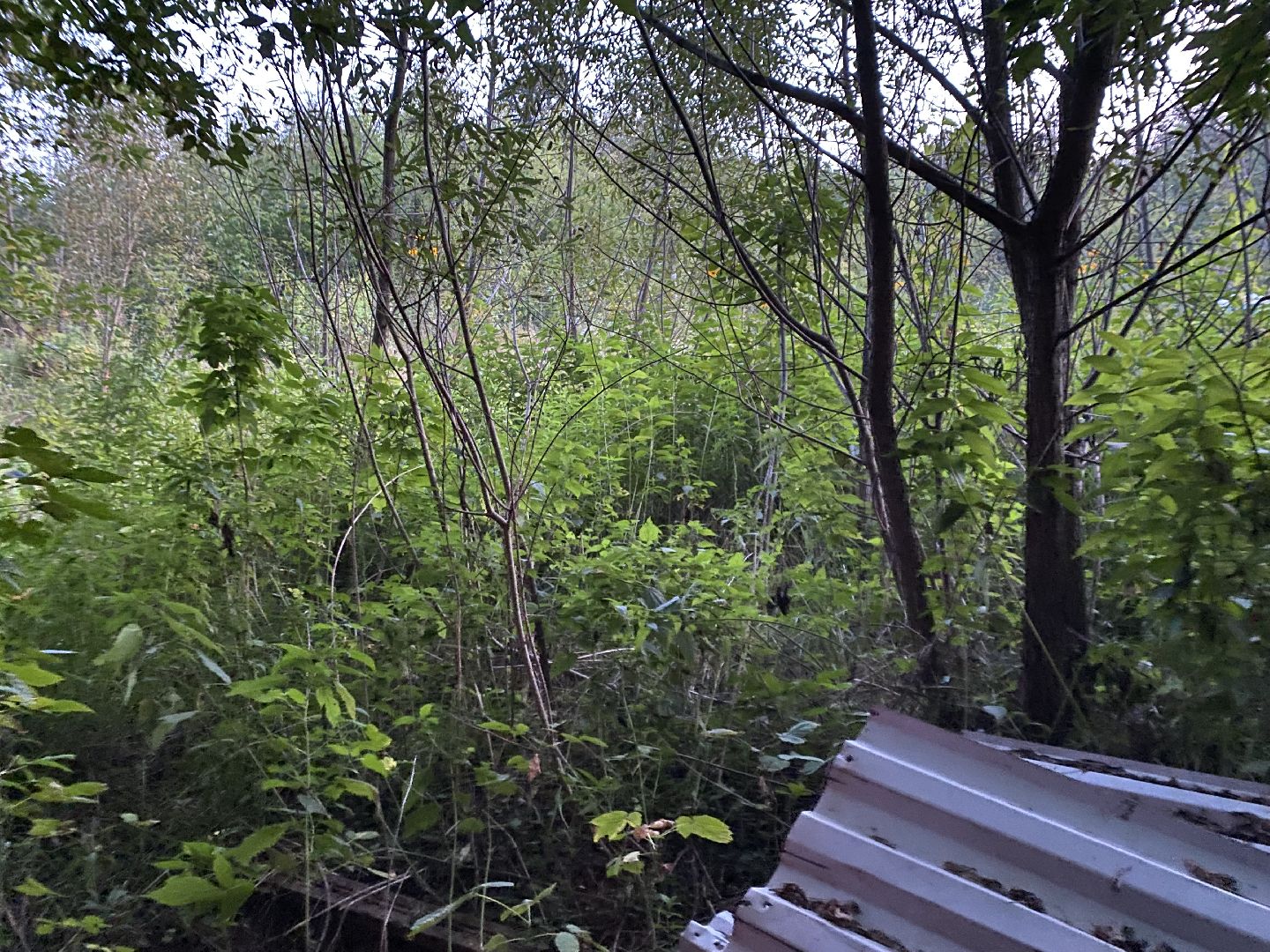 Балашиха, Салтыковка, квартал Акатово, очистные сооружения,