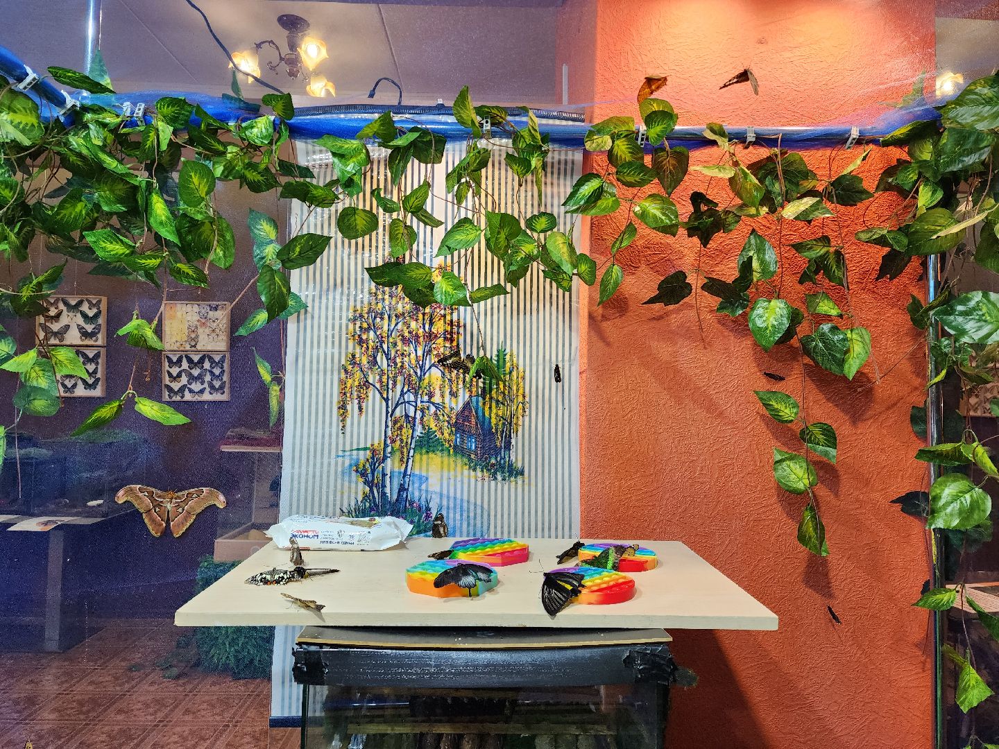 Раменское, культура, выставка экзотических бабочек, что пьют бабочки