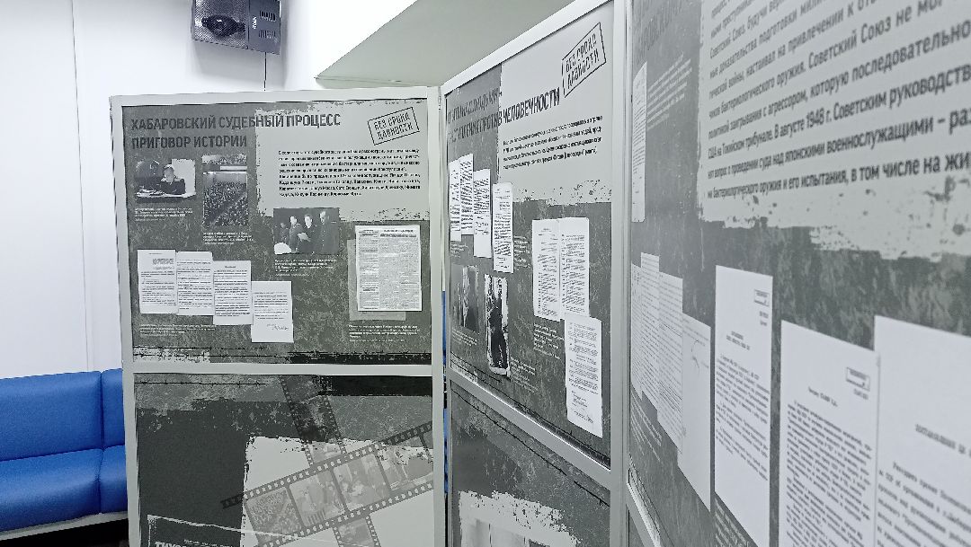 Безсрокадавности, Выставка