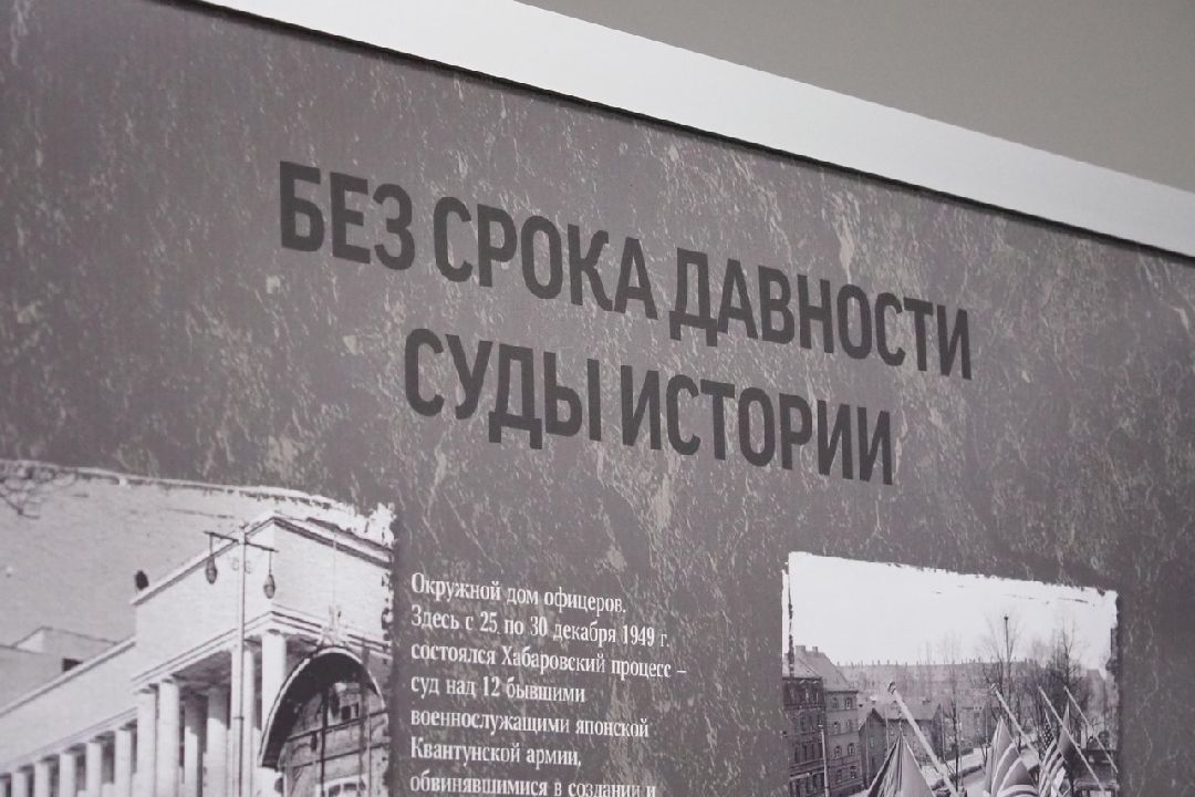 Безсрокадавности, Выставка