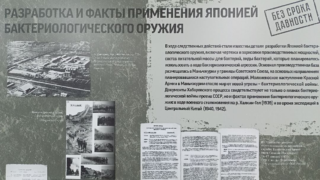 Безсрокадавности, Выставка