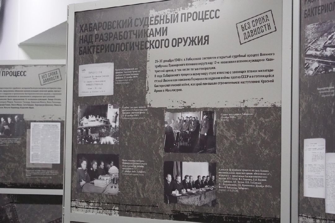 Безсрокадавности, Выставка