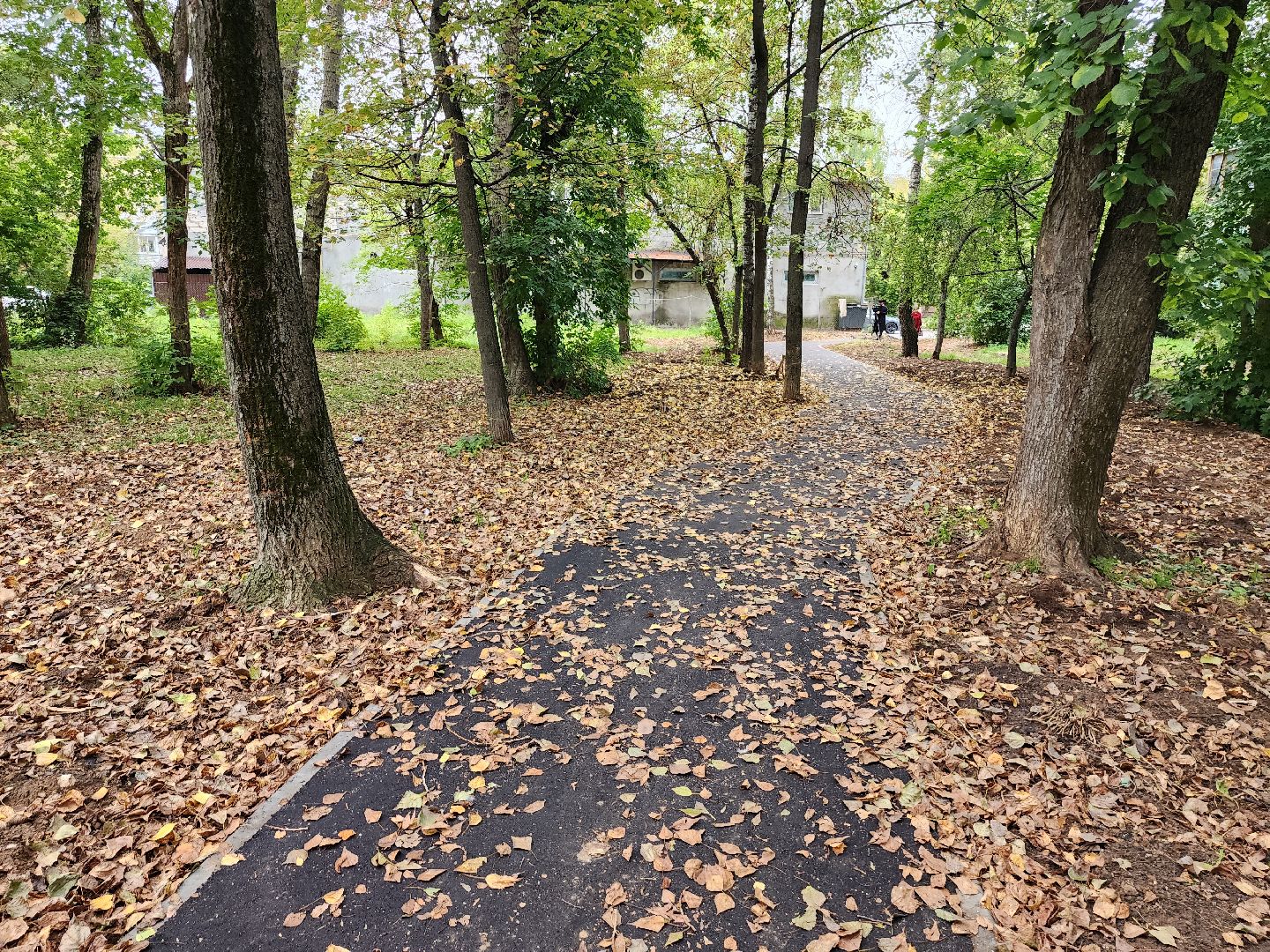 народная тропа, благоустройство, серпухов, улица горького, строительство дорог,
