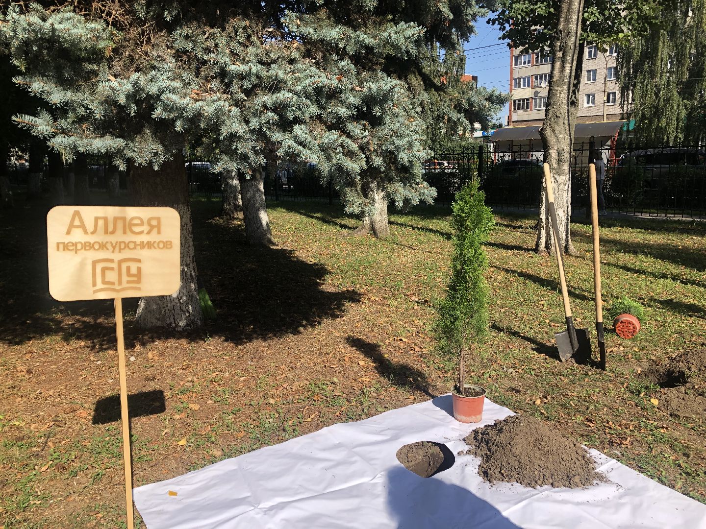 коломна, образование, студенты