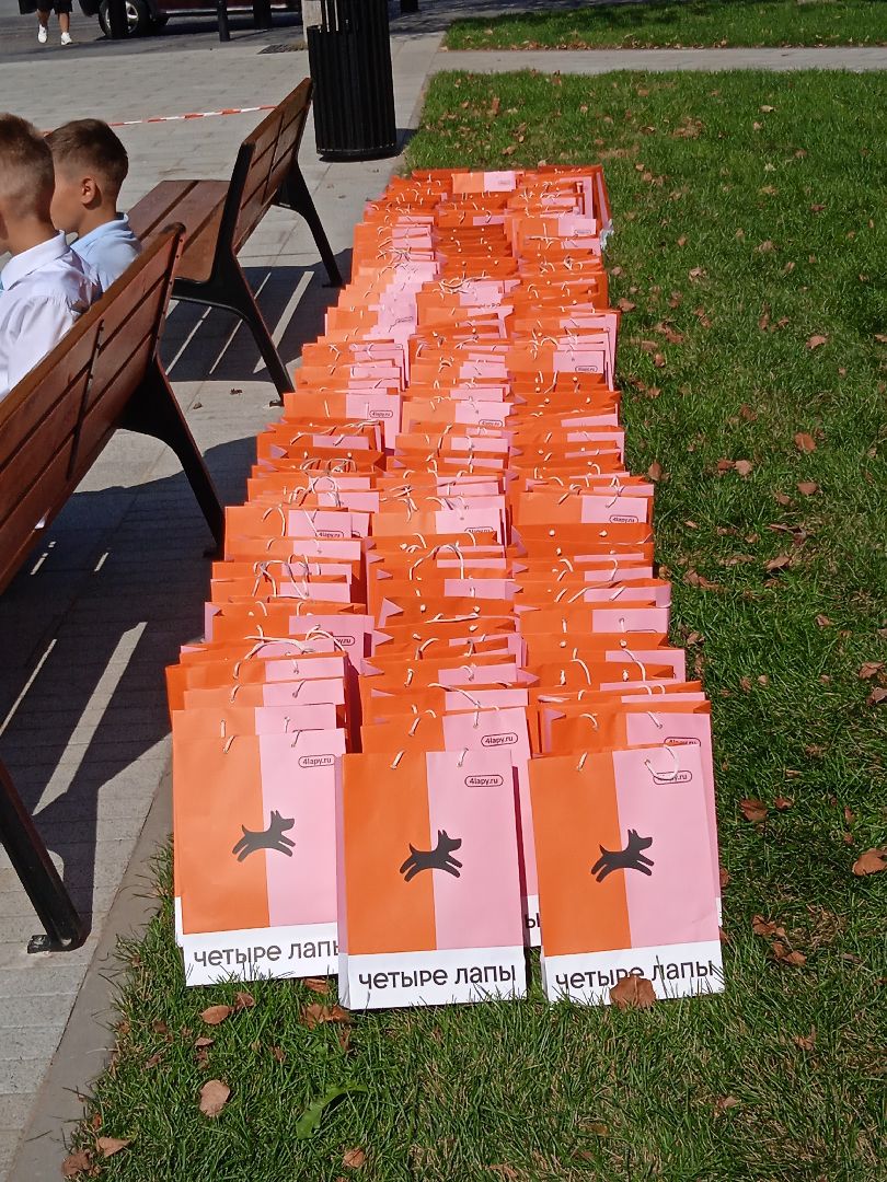 сквер, звёздный, открытие, ремонт, бульвар, благоустройство