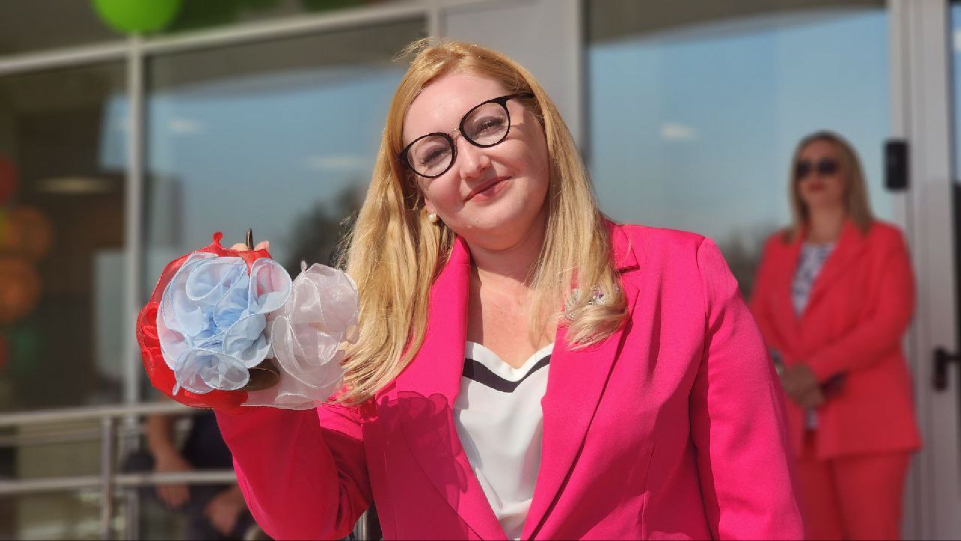 Дмитров, Школа в ЖК Мечта, Минобр