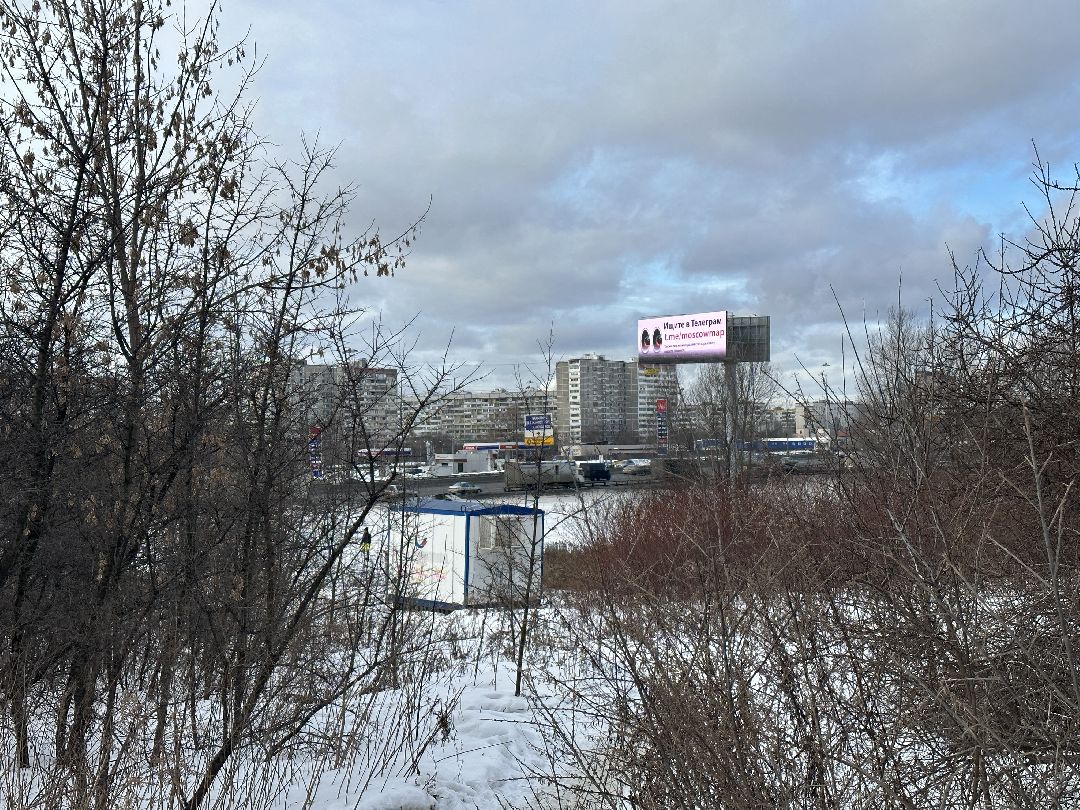 благоустройство, парк, арт-объект, деревья, облепиха, облепиховый сад, Реутов