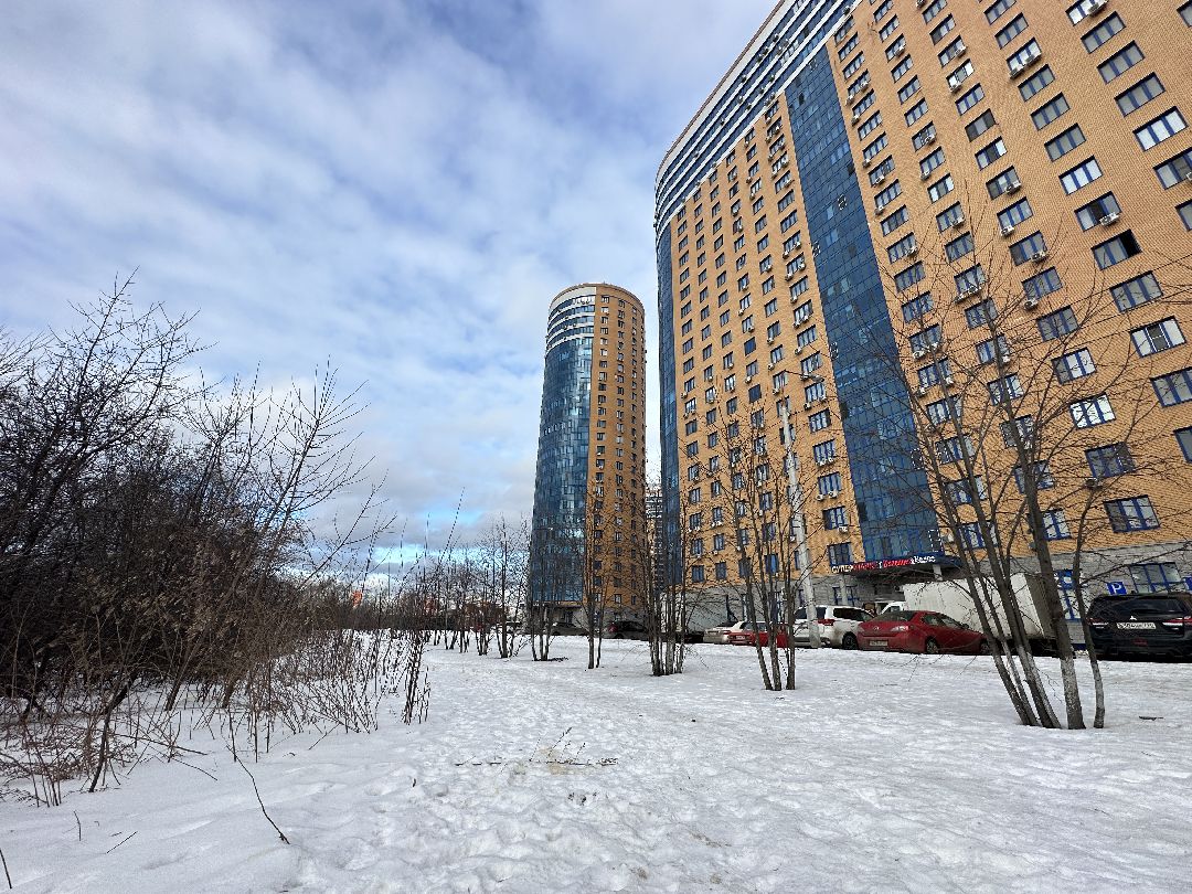 благоустройство, парк, арт-объект, деревья, облепиха, облепиховый сад, Реутов