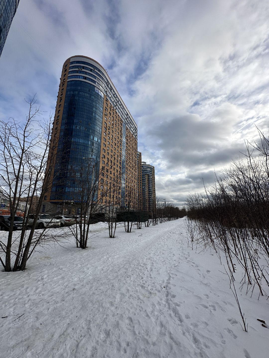 благоустройство, парк, арт-объект, деревья, облепиха, облепиховый сад, Реутов