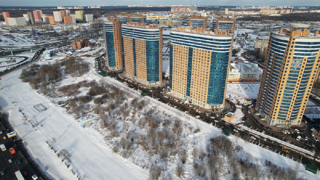 благоустройство, парк, арт-объект, деревья, облепиха, облепиховый сад, Реутов