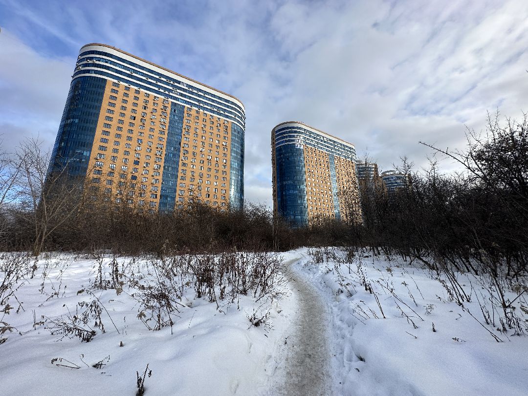 благоустройство, парк, арт-объект, деревья, облепиха, облепиховый сад, Реутов