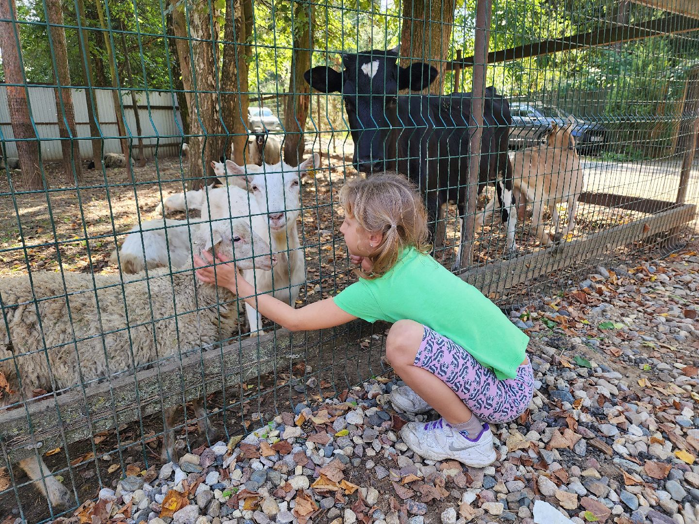 дети, 1 сентября, пушкино, мастер-класс,