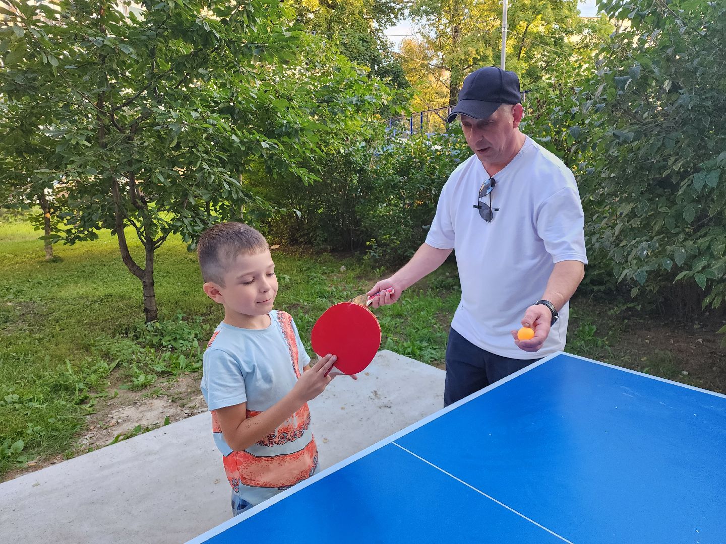 видное; теннис; депутаты; спорт; дворы