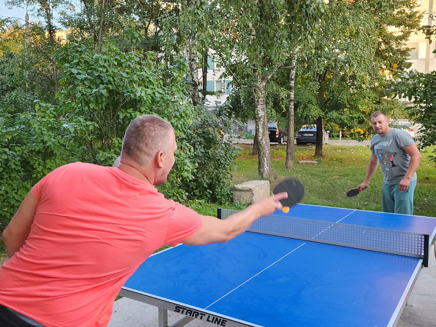 видное; теннис; депутаты; спорт; дворы