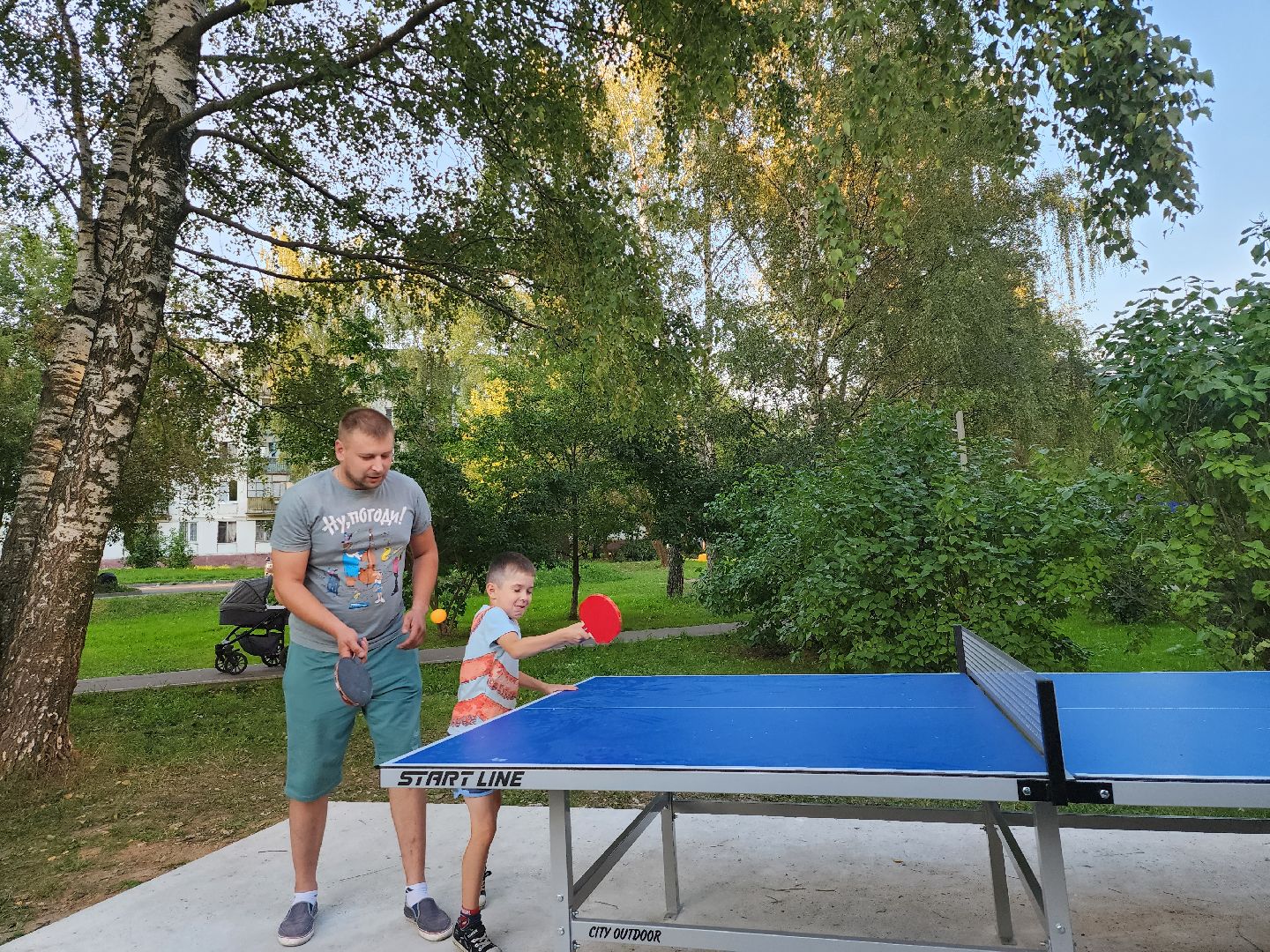 видное; теннис; депутаты; спорт; дворы