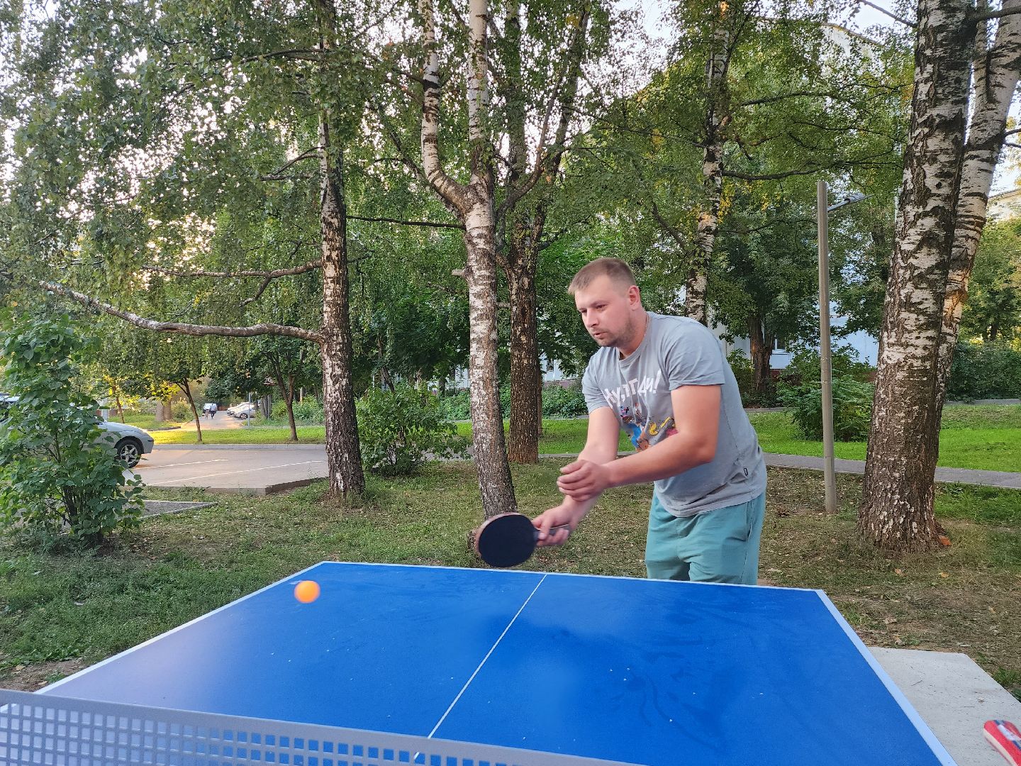 видное; теннис; депутаты; спорт; дворы