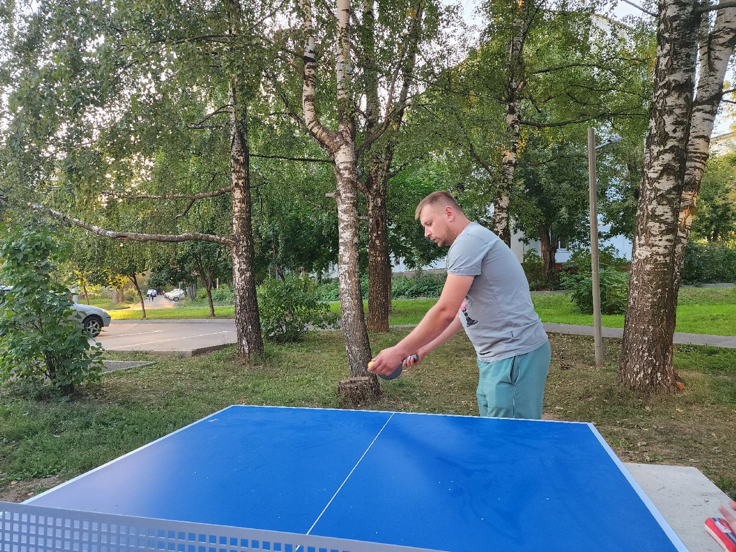 видное; теннис; депутаты; спорт; дворы