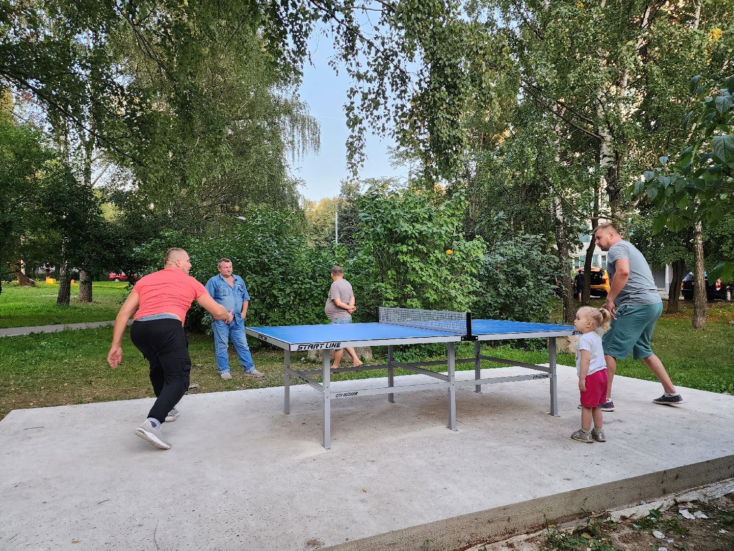 видное; теннис; депутаты; спорт; дворы